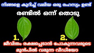 ജീവിതം രക്ഷപ്പെടാൻ പോകുന്നവർക്ക് മുൻപിൽ മാത്രം വരുന്ന വീഡിയോ. Thodukuri. തൊടുകുറി. jyothisham malaya