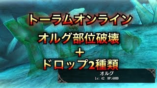 【トーラムオンライン】オルグ部位破壊＋ドロップ２種 【TORAM ONLINE】