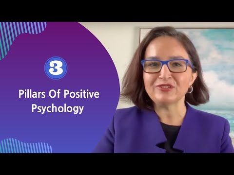 What are the 3 levels of positive psychology?