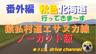 秋色の北海道へ行ってきま～す。番外編【猿払村道エサヌカ線】ノーカット版。何もないがいい。４Ｋ