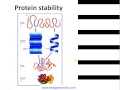 protein folding accessory proteins and diseases