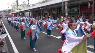 ゑびしば 2016本家高知よさこい 10日 愛宕町 mususukunjp