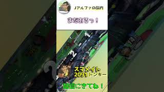 ドンキーで捨てゲーしない理由　#shorts  #スマブラsp 　#スマメイト　#切り抜き 　#配信 　#ドンキーコング