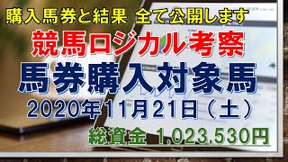 【競馬ロジカル考察】ｰ馬券購入対象馬ｰ 2020年11月21日（土）購入馬券と結果 全て見せます（血統、指数、考察、予想）