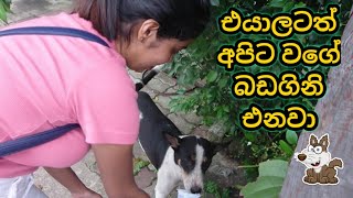 එයාලටත් අපිට වගේ බඩගිනි එනවා..