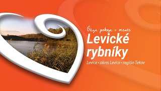 Levické rybníky