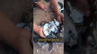 कोकणातील सोन #konkan #viralvideo #shortvideo #valmikinagar #short #shorts #kalva