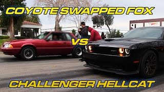 Hellcat vs Coyote Swapped Fox