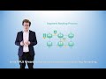 What is Segment Routing on Huawei Device