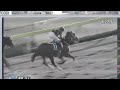 競馬　the予想　win5　2023　根岸s　シルクロードs