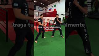 Krav Maga | Como acabar com uma luta com apenas 01 golpe rápido