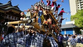 平成29年5月5日　東灘だんじり祭り 本住吉神社宮入　岡本區