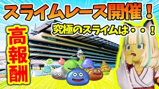 ドラクエ10 スライムレースを制して100万をGETせよ！大人気覇権イベントが到来！