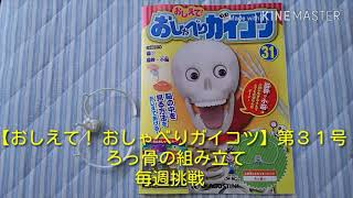 【おしえて！ おしゃべりガイコツ】第３１号  ろっ骨の組み立て   毎週挑戦