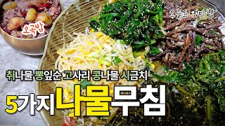 5가지 나물반찬 만들기, [취나물][뽕잎순][고사리][시금치][콩나물] 초보자도 쉽고 맛있게 무칠 수 있어요.