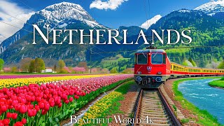 Netherlands 4K Spring Relaxation Film - Peaceful Piano Music - Spring Flower