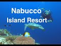 Nabucco island dive resort - diving, snorkeling & relaxation on Maratua islands, Kalimantan