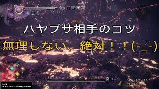 仁王2　奈落獄深部 踏破装備　オモイカネ7  ツクヨミ6　ver1.23