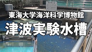 東海大学海洋科学博物館　津波実験水槽　シミュレーション中映像