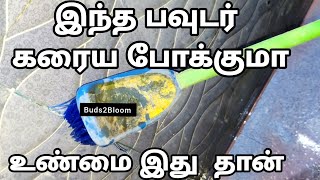 Bathroom tiles Cleaning Tips/உப்பு கரை நீங்க இதை ட்ரை பண்ணலாமா??