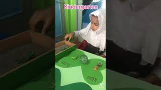 Insects sorting activity