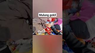 Mulung gokil