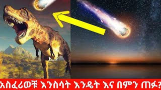 🛑ዳይኖሰር [#ዶ/ር_ሮዳስ_ታደሰ] አስፈሪወቹ በምድር ላይ ይኖሩ የነበሩ ግዙፋን እንስሳት ዳይኖሰር | Part 1 |andromeda |#አንድሮሜዳ