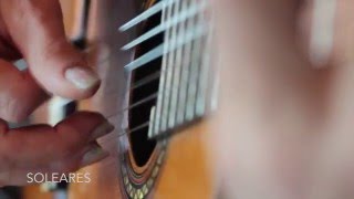 Homenaje a Tárrega by Turina | played by Frank Wallace | 1910 Manuel Ramirez guitar