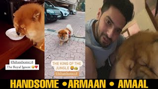 The King Of The Jungle - Handsome • With Armaan Malik & Amaal Mallik || Lovely Moments || SLV2020