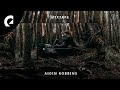 Aidin Robbins Music Mix - 90 Minutes of Cinematic Mood Tracks (Royalty Free Music)