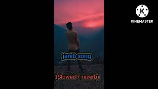 janib song slowed + reverb verson #janib #kesariya #tseries