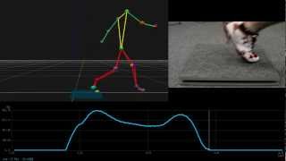 歩行解析【フォースプレートとの同期計測】