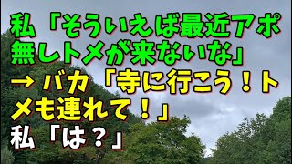 【スカッとひろゆき】私「そういえば最近アポ無しトメが来ないな」 → バカ「寺に行こう！トメも連れて！」 私「は？」