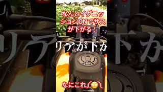 中免で乗れるハーレーではない電動サス付きアドベンチャーがヤバい😱 #short