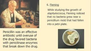 History of microbiology
