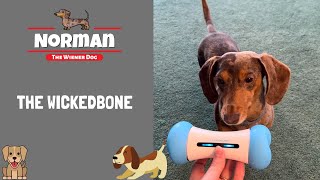 The Wickedbone 🦴