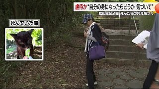 どうして…顔分からないほど撲殺　口に木の枝…松山総合公園でネコ“虐待”相次ぐ　警察に被害届【愛媛】 (24/09/03 18:59)