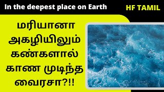 உலகின் மிகவும் ஆழமான இடத்தில் பெரிய அளவுள்ள வைரஸ்கள் | viruses in the deepest place on Earth |HFT