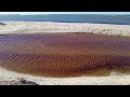 peraküla beach. nõva coastal area. estonia