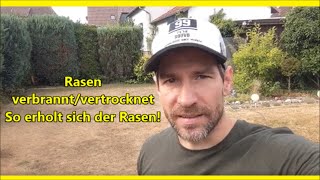 Rasen verbrannt und vertrocknet - So erholt sich Rasen nach langer Trockenheit