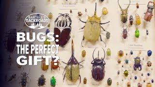 Bug museum offers unique gift idea | Bartell's Backroads