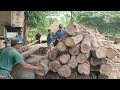 Borongan kayu jati sebanyak 7 kubik seharga 13 juta #sawmill #india #brazil #thailand #russia