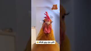 حالا فهمیدین برای چی مژه میکارن؟😂😂#طنز#خنده#funny