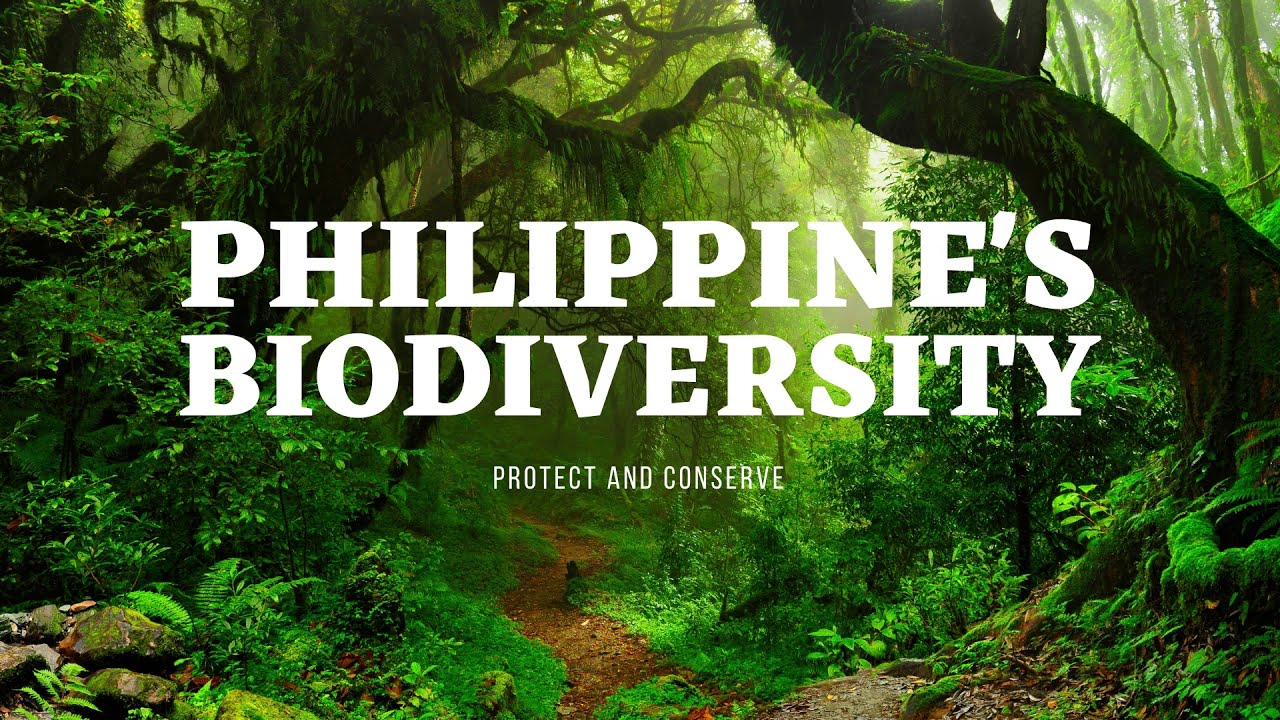 Philippine's Biodiversity - YouTube