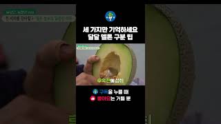 실패 없이 달달 멜론 고르는 방법🍈 #shorts #쇼츠 #멜론 #꿀팁