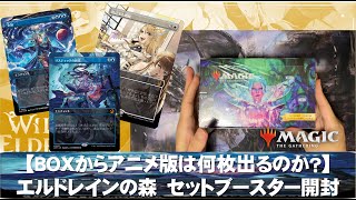 【MTG】BOXからアニメ版は何枚出るの？エルドレインの森セットブースター開封