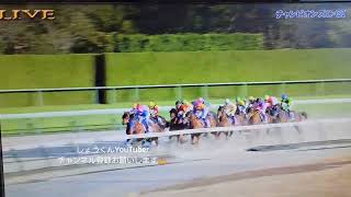 2023年12月3日今日の動画は中京11レースチャンピオンズカップダート1800メートルレモンポップ逃げきり