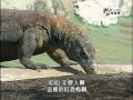 獨立特派員 第25集 高教唱高調