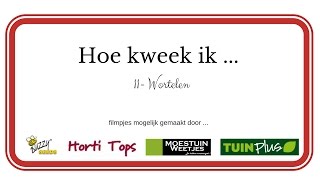 Hoe kweek ik Wortelen DEEL 1