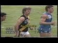 1987 Round 22 Sturt 16.11 107 d Glenelg 8.14 62